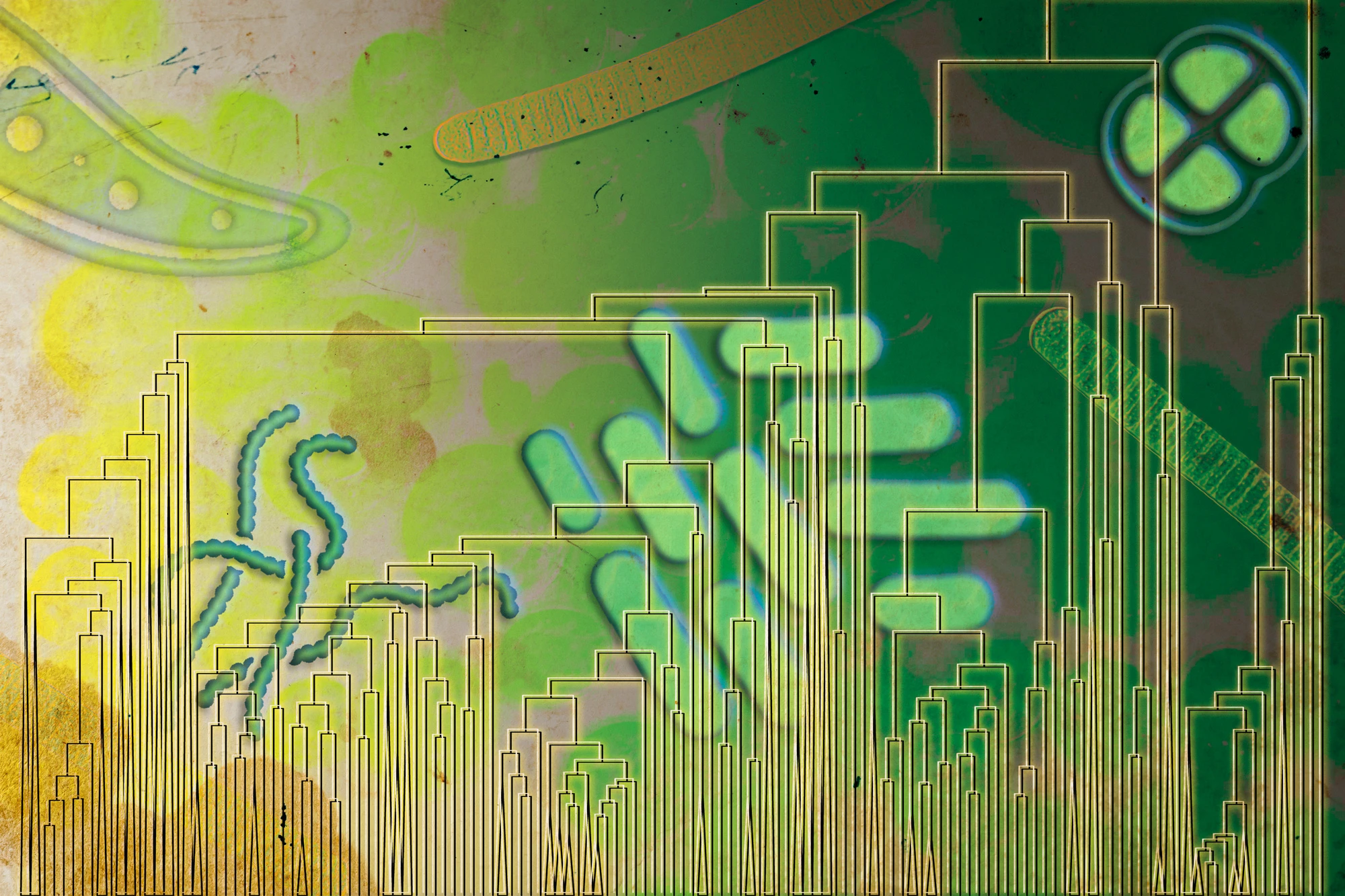 MIT: життя могло дихати киснем задовго до Великої кисневої події – що це змінює в історії Землі?