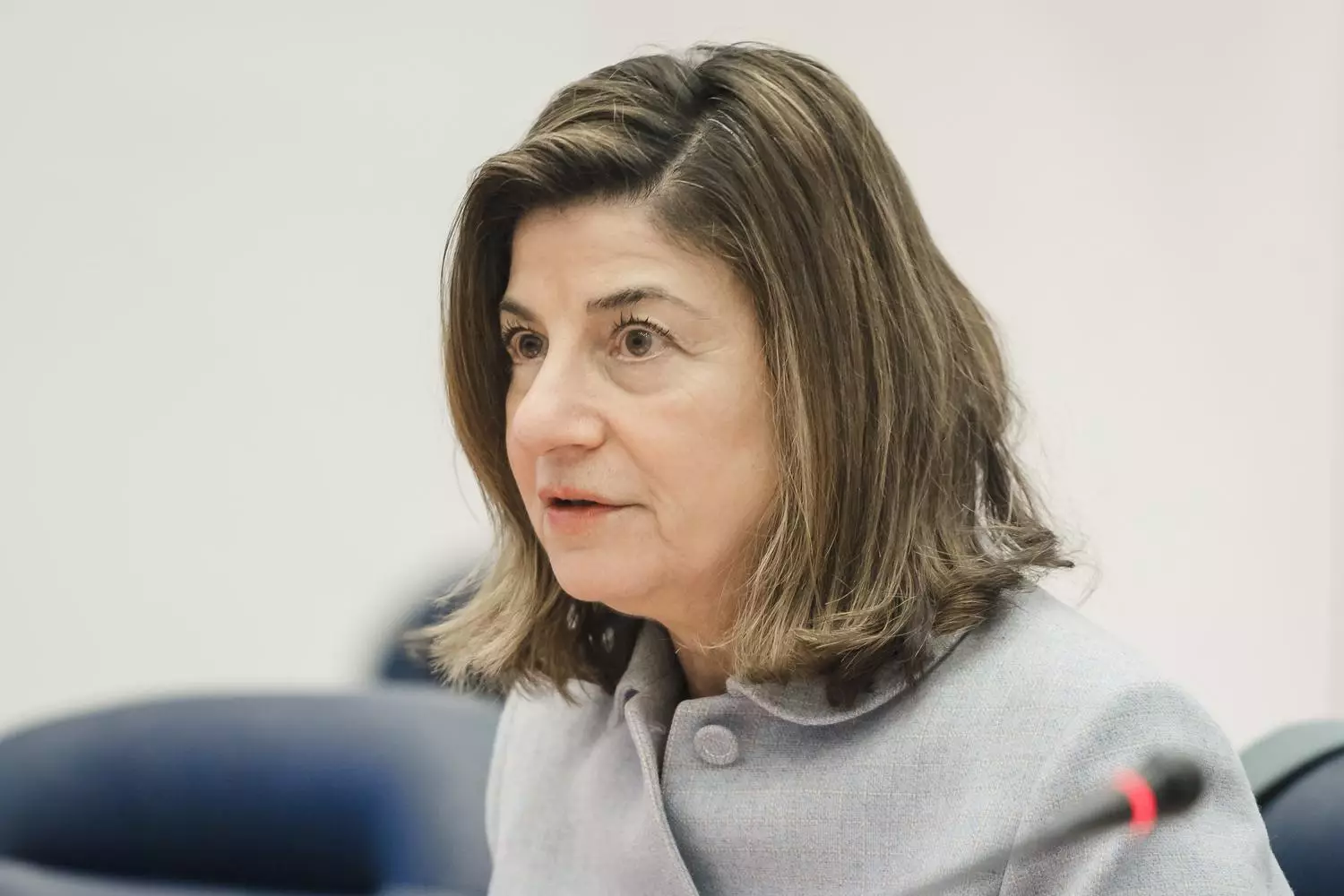 Жінка на офіційній зустрічі, обговорення ідентифікації зниклих безвісти з представниками МВС